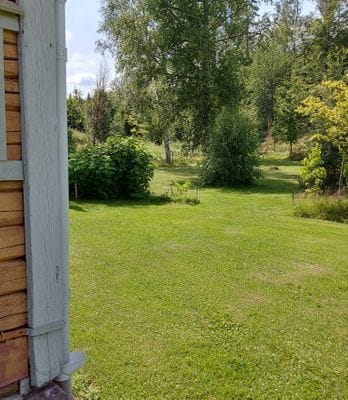 Trädgården