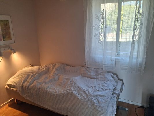 Havsutsikt i Blekinge - Bild 11