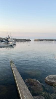 Vitemölla hamn