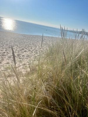 Millång sandstrand