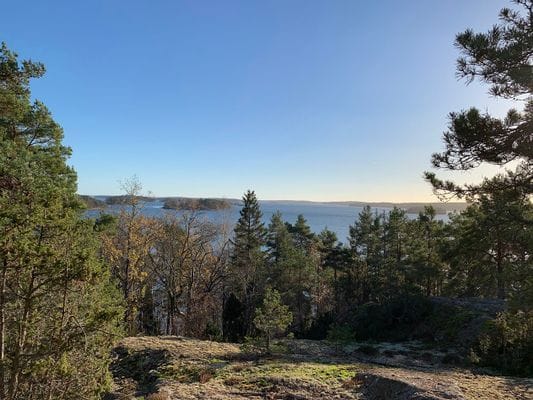 Stuga nära hav och bad. Roddbåt, egen brygga. - Bild 40