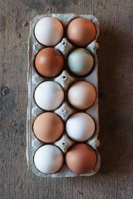 Ägg från gårdens höns