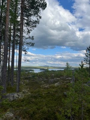 Rejäl off‑grid timmerstuga vackert belägen vid sjö - Bild 17