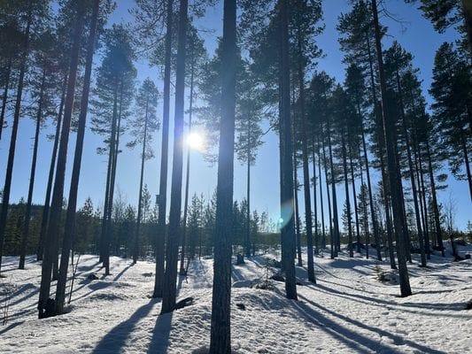 Rejäl off‑grid timmerstuga vackert belägen vid sjö - Bild 20