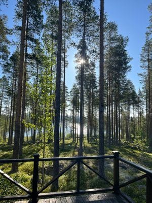 Rejäl off‑grid timmerstuga vackert belägen vid sjö - Bild 14