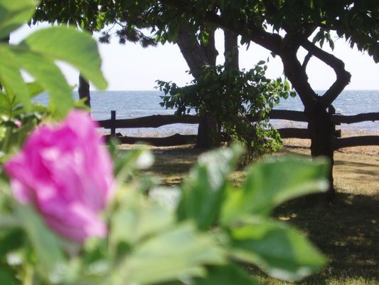 Hus vid havet - Bild 25