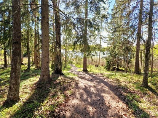 Stig ner till sjön och badplats