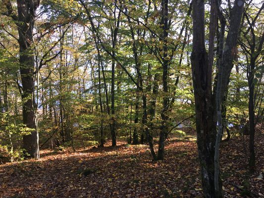 Semesterboende med badplats och  brygga | SE03019 - Bild 33