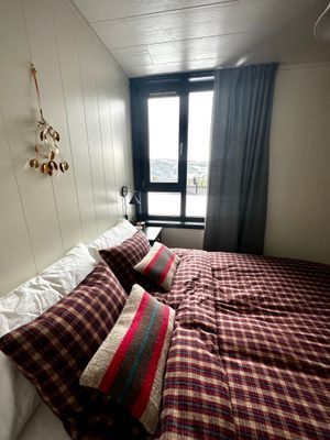 Utsikt mot renfjället.