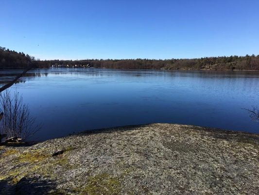 Semesterboende med badplats och  brygga | SE03019 - Bild 31