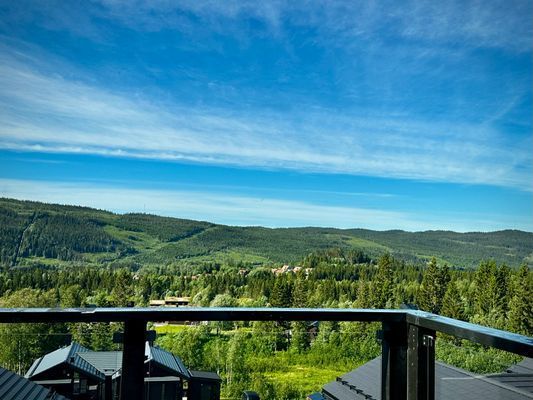Fri utsikt över renfjället, även vackert på sommaren.