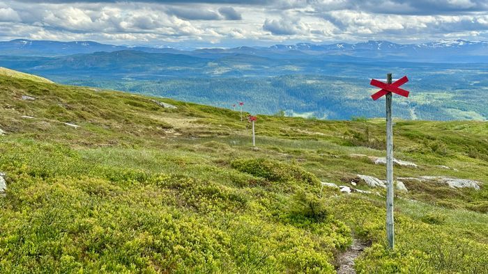 Fina vandringsleder direkt från stugan sommartid.
