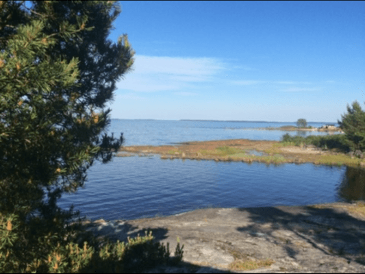 Sommarhus vid havet - Bild 7