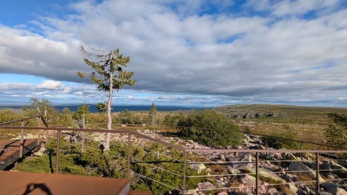Mysig stuga i Särna, toppen för aktiviteter... - Bild 42