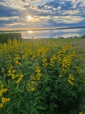 Fritidshus vid havet i Hudiksvall - Bild 8