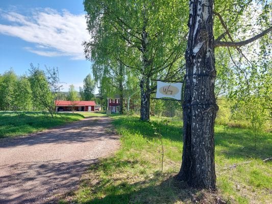 Vägen hem till oss – med gott om plats och lugn omkring.