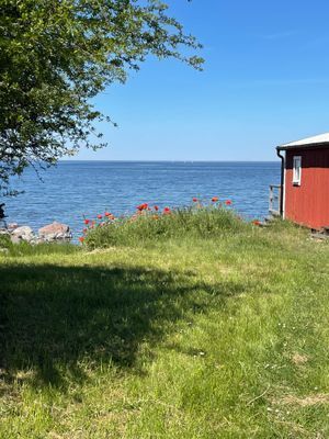 Mysig stuga nära havet och Köpingsvik - Bild 4