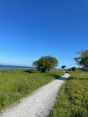 Mysig stuga nära havet och Köpingsvik - Bild 3