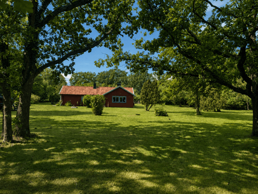 Djupvik - Öland. Stor tomt nära hav. Hundvänligt - Bild 3