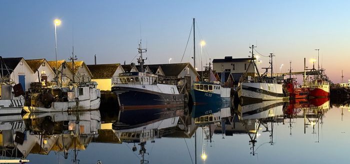 Hamnen i Träslövsläge