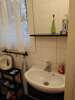 Herräng Dance camp i rofylld skog i Herräng - Bild 17