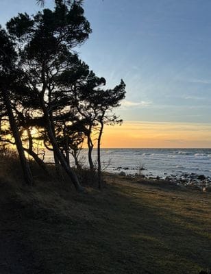 Fräscht radhus i lugnt område i södra Visby - Bild 19