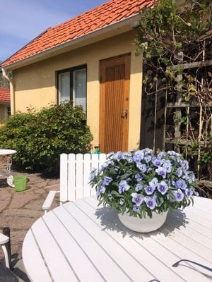 Stuga för två i Falsterbo ledig vecka 31 i juli - Bild 4