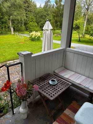 Skogsparadis - Bild 3