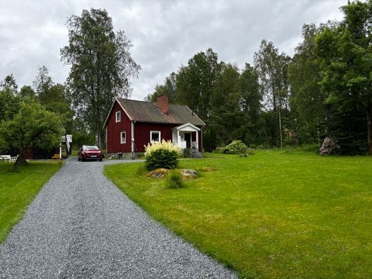 Skogsparadis - Bild 2