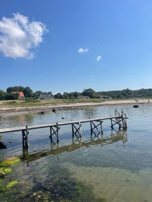 Stuga med havsutsikt – 100 m till stranden - Bild 32