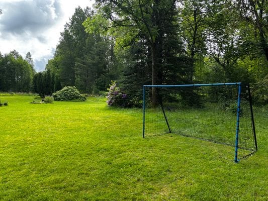 Skogsparadis - Bild 6