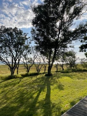 Stuga med havsutsikt – 100 m till stranden - Bild 28