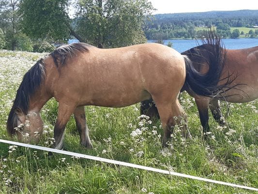 Hus med utsikt i Hoverberg! - Bild 8