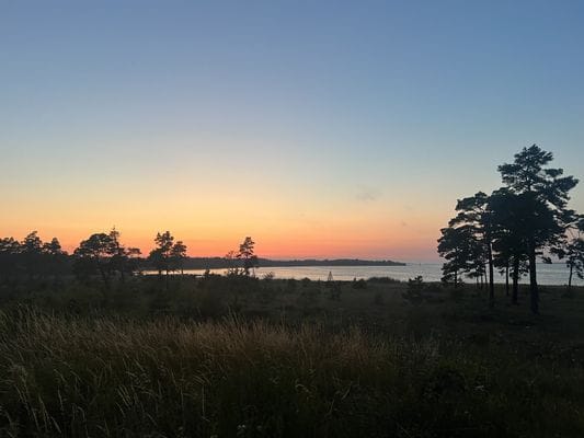 Havsnära arkitektritad villa - Bild 14