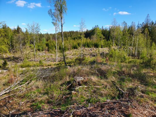 Stuga Soldattorp Byggd 2014 - Bild 13