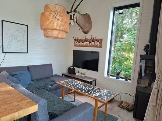 Sjöhuset - båtar, strand, bastu, brygga och grill! - Bild 38