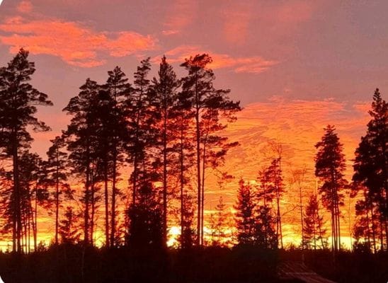 Solnedgång! Magiskt!