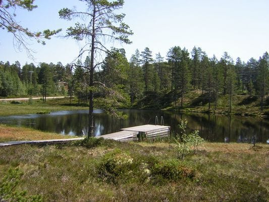 Tandådalen, välutrustade stugor vid Tandåtjärn. - Bild 20