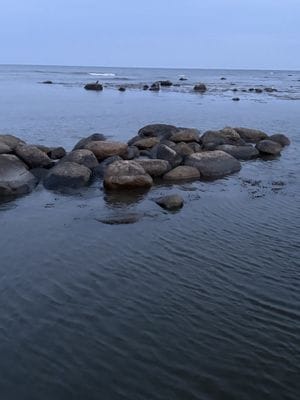 Österlenidyll i Skillinge - 350 meter från havet - Bild 40