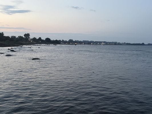 Österlenidyll i Skillinge - 350 meter från havet - Bild 41