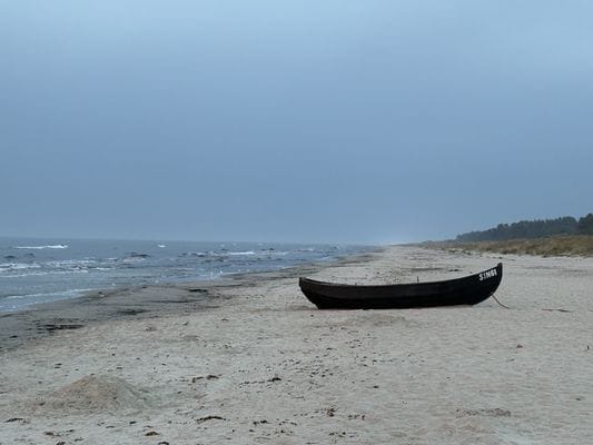 Österlenidyll i Skillinge - 350 meter från havet - Bild 43