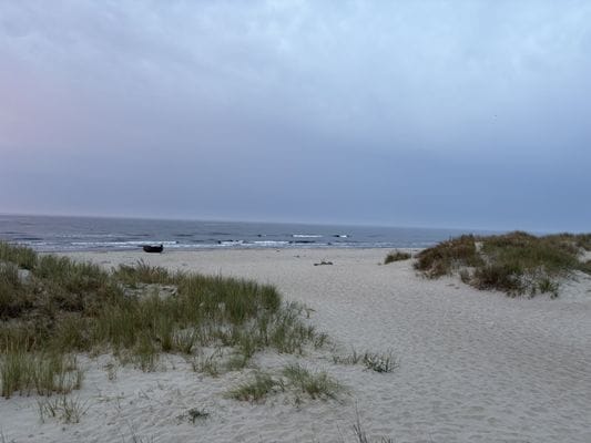 Österlenidyll i Skillinge - 350 meter från havet - Bild 44
