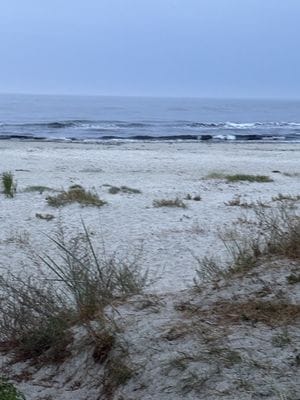 Österlenidyll i Skillinge - 350 meter från havet - Bild 42