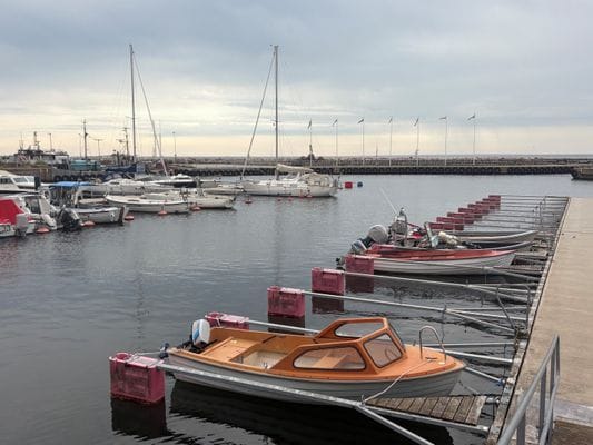 Österlenidyll i Skillinge - 350 meter från havet - Bild 37