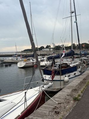 Österlenidyll i Skillinge - 350 meter från havet - Bild 36