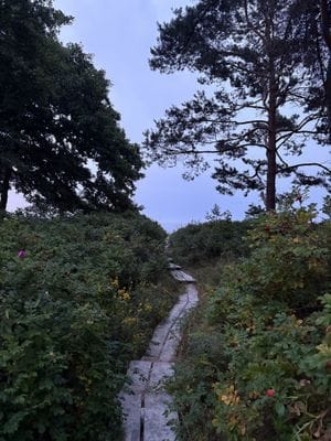 Österlenidyll i Skillinge - 350 meter från havet - Bild 45