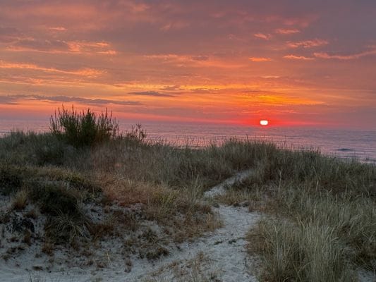 Österlenidyll i Skillinge - 350 meter från havet - Bild 51