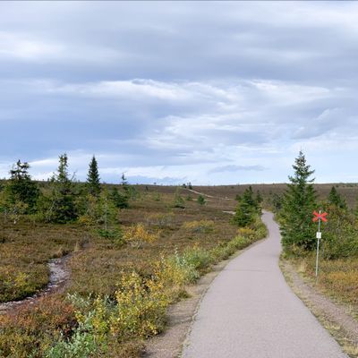 Sälen, Hundfjället, ski in-ski out, 4 sovrum - Bild 30