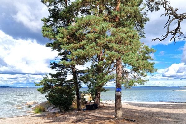 Timbra Utö. Badrocksavstånd till fin sandstrand - Bild 3