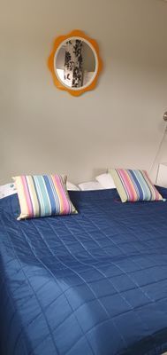 Stuga vid Tofta Strand nära havet, - Bild 13